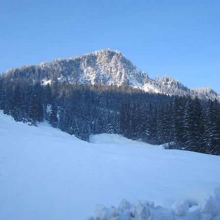 Oberschlassbergbauer Wald im Pinzgau Exterior photo
